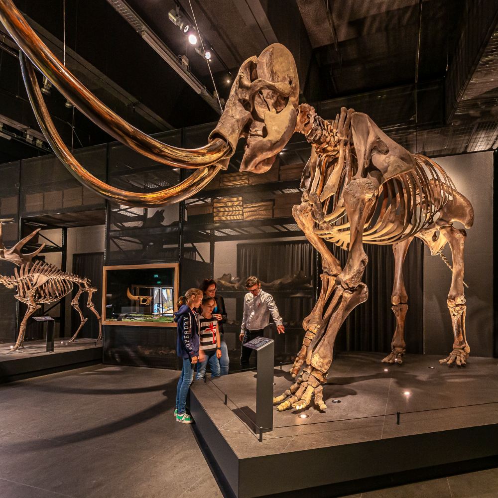 Naturalis Biodiversity Center, Leiden