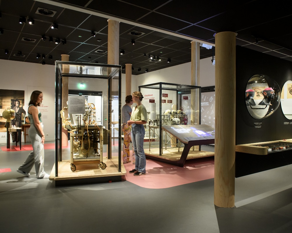 UMU - Universiteitsmuseum Utrecht